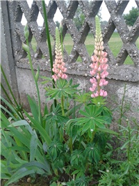 8cdcbd44-2016-05-11 18.53.47.jpg